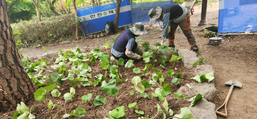 부산시설공단 노인일자리사업(스포원파크)
